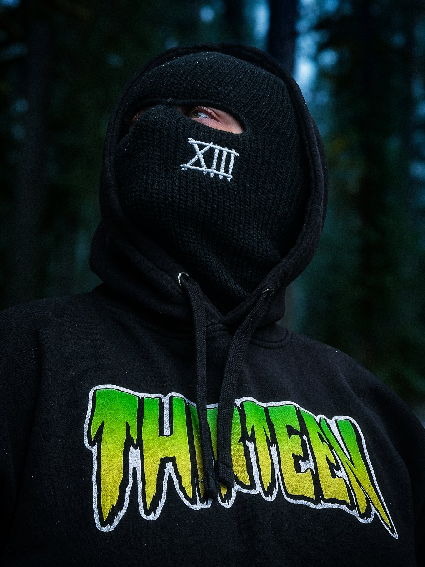 Thirteen Skate Heavyweight Hoodie