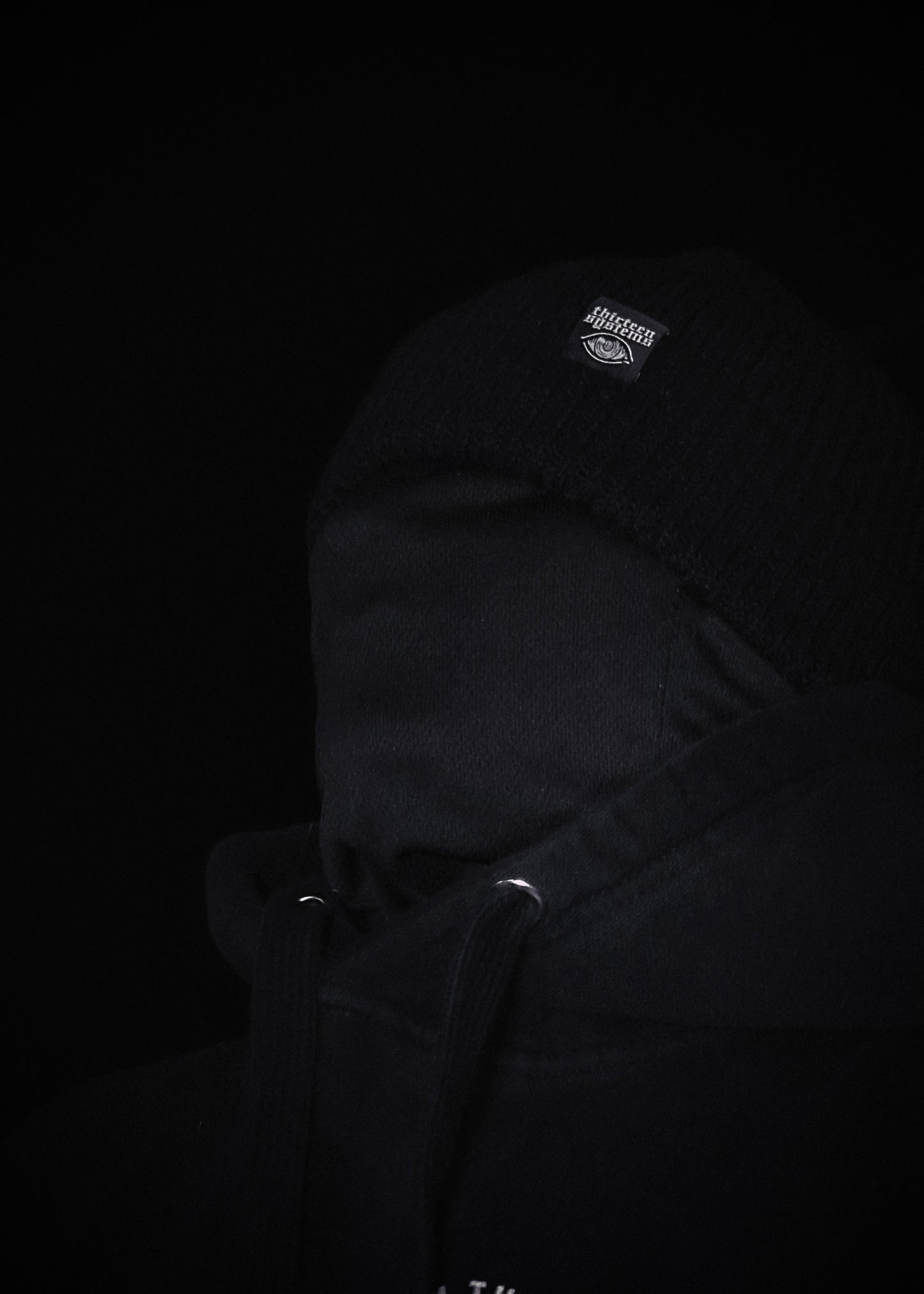 Larcenist Beanie Mask