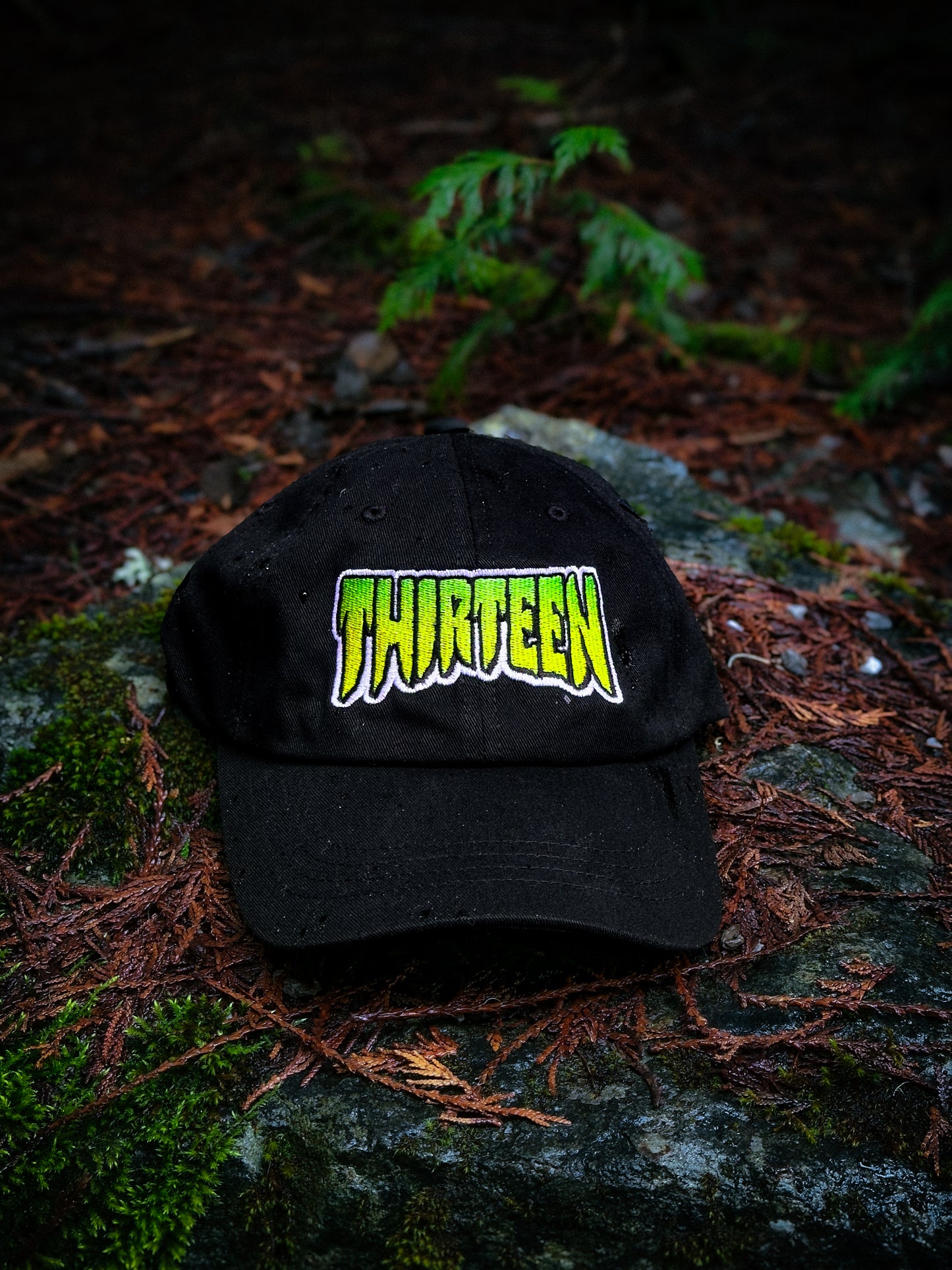 Thirteen Skate Dad Hat
