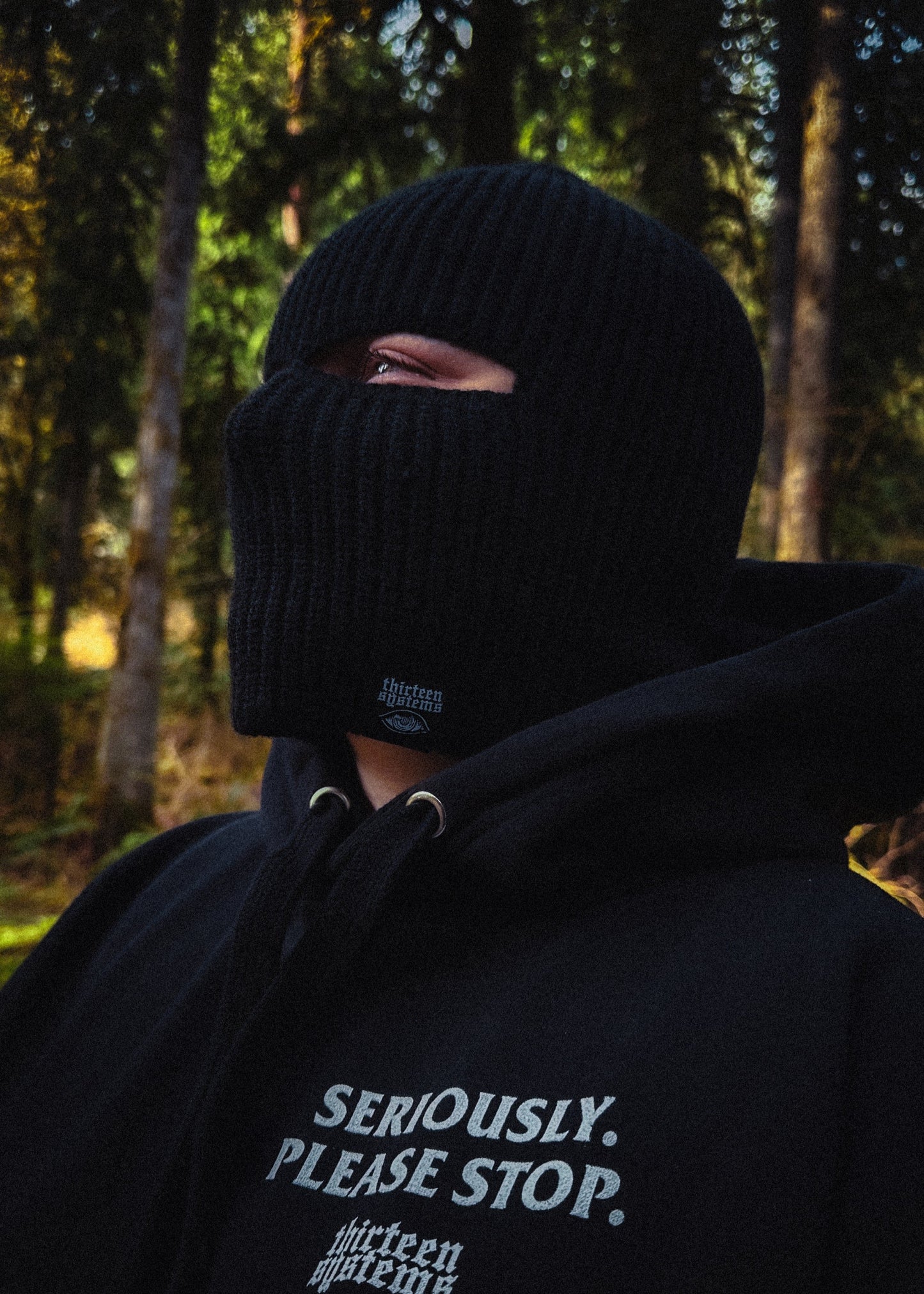 Larcenist Beanie Mask