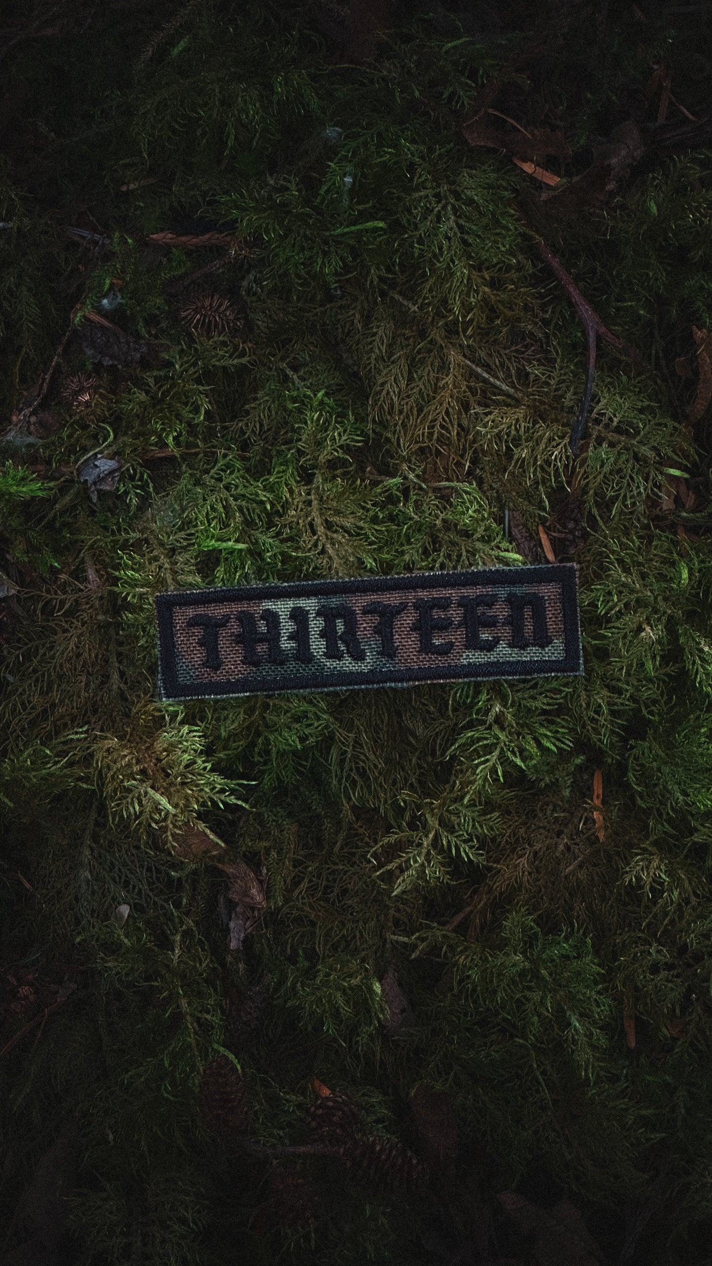 Embroidered Flecktarn Strip Patch