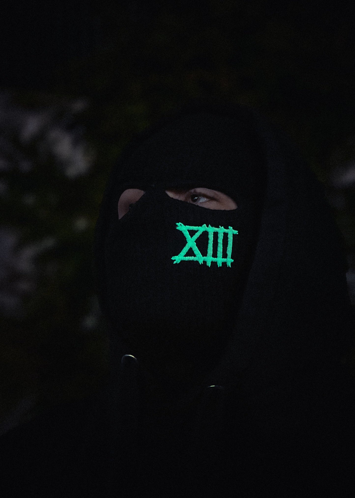 Stalker Ski Mask