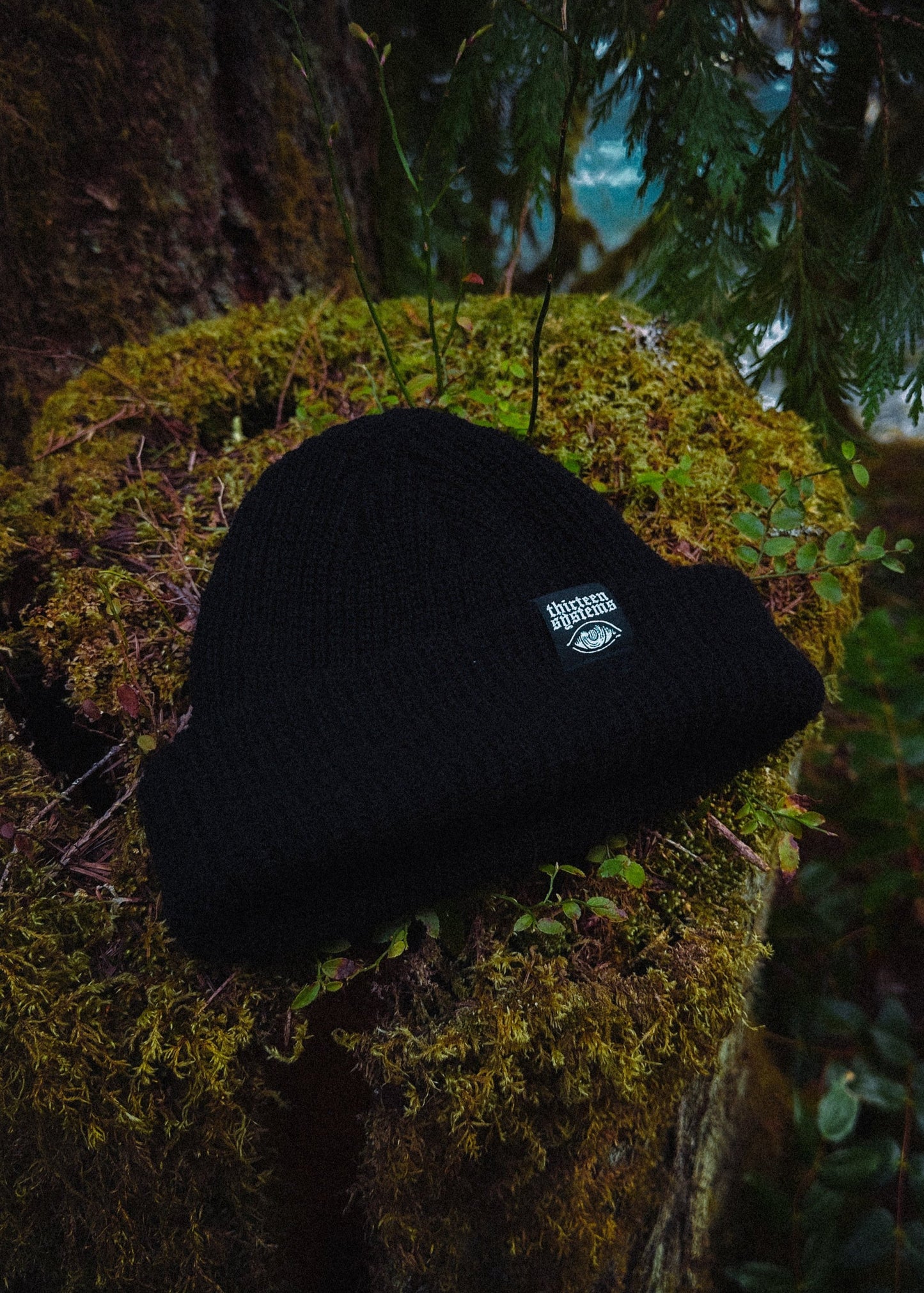 Larcenist Beanie Mask