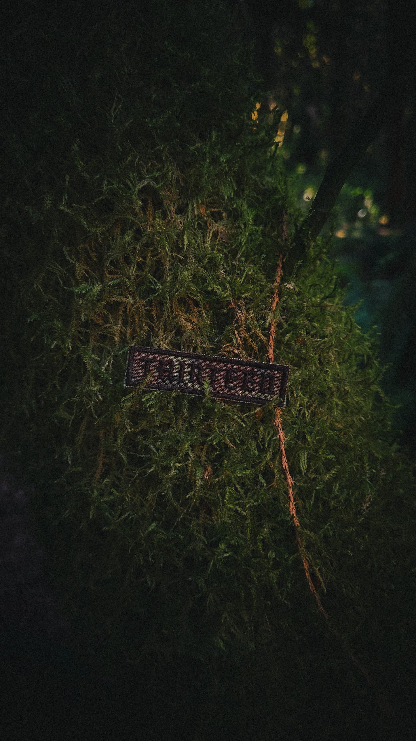 Embroidered Flecktarn Strip Patch