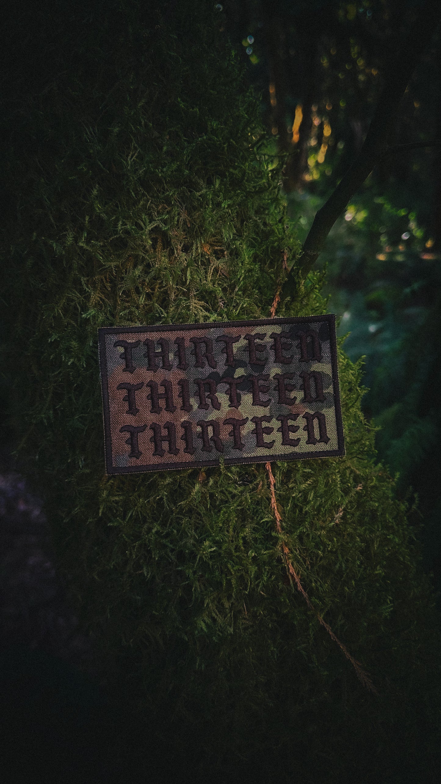 Embroidered Flecktarn Triple Thirteen 5x3 Patch
