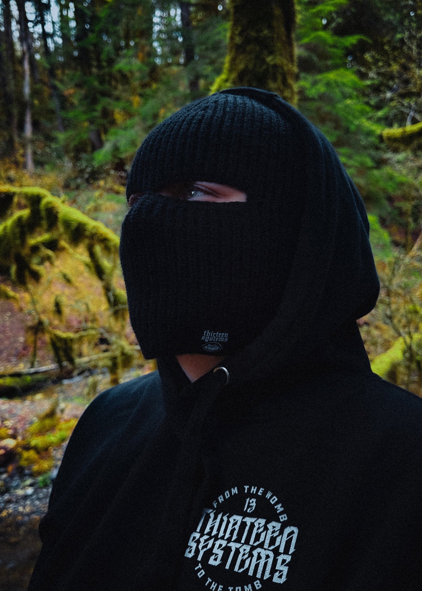 Larcenist Beanie Mask