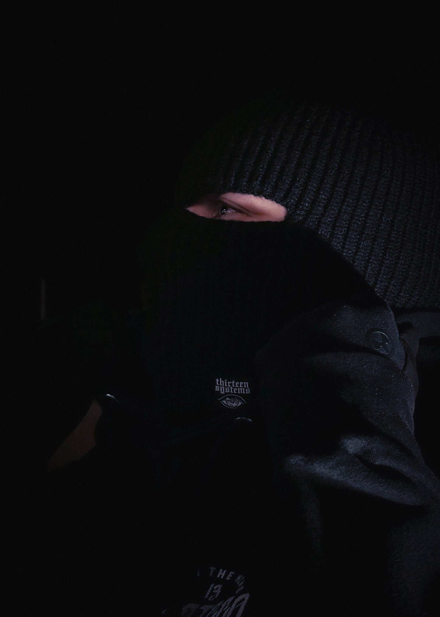 Larcenist Beanie Mask