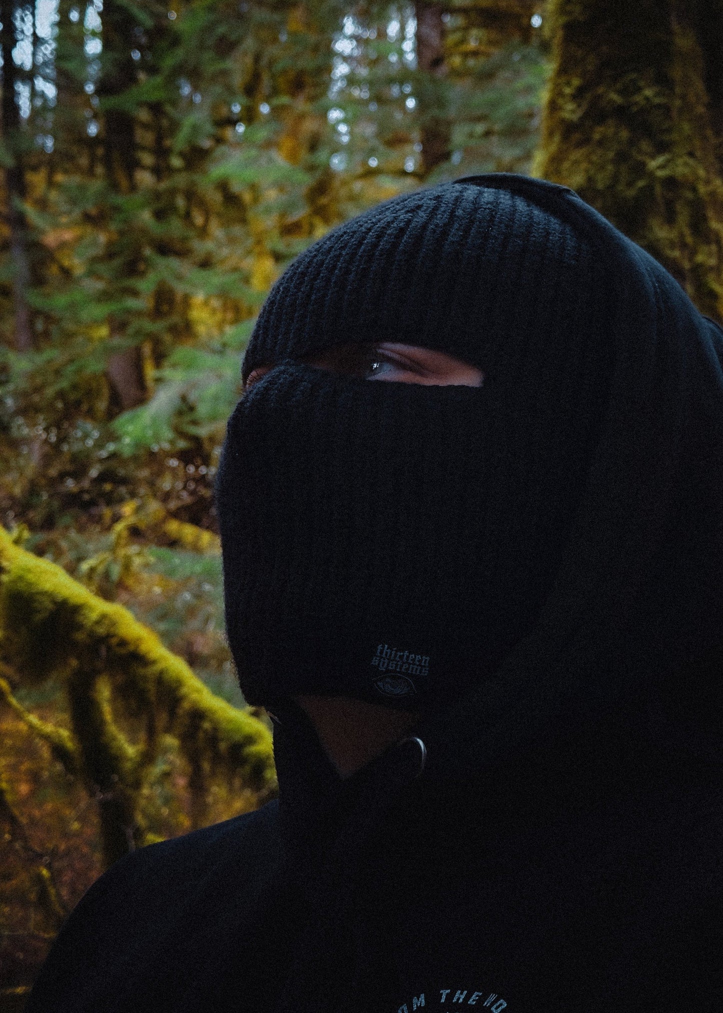 Larcenist Beanie Mask