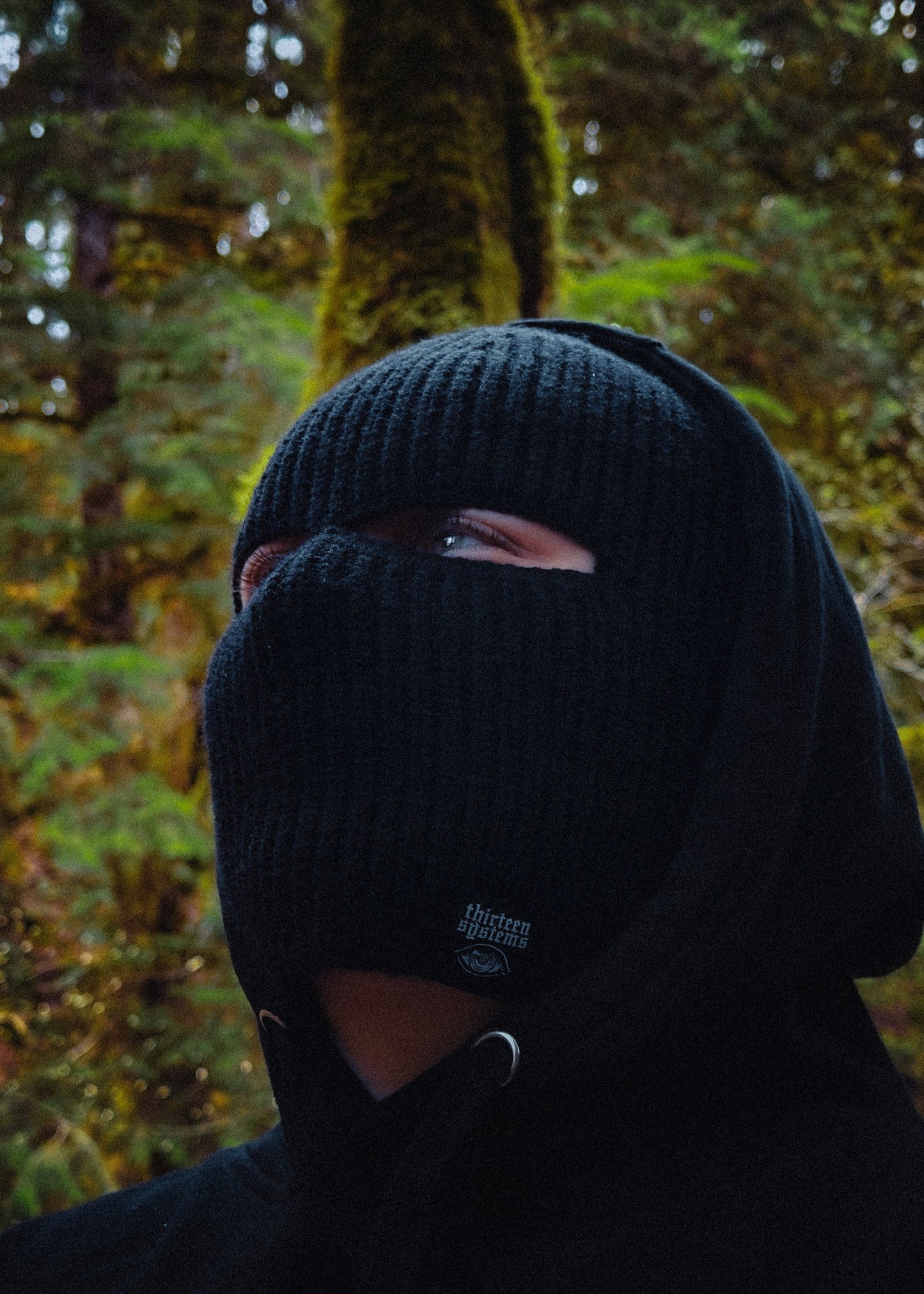 Larcenist Beanie Mask