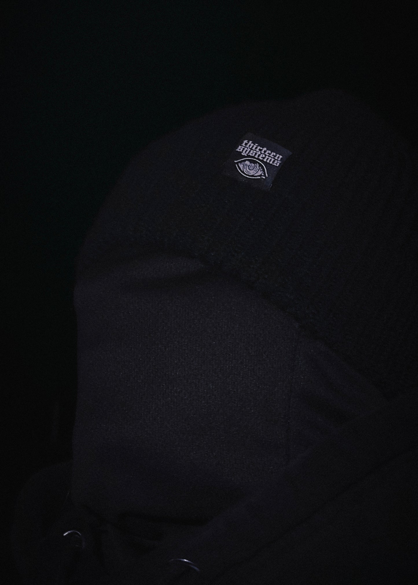 Larcenist Beanie Mask