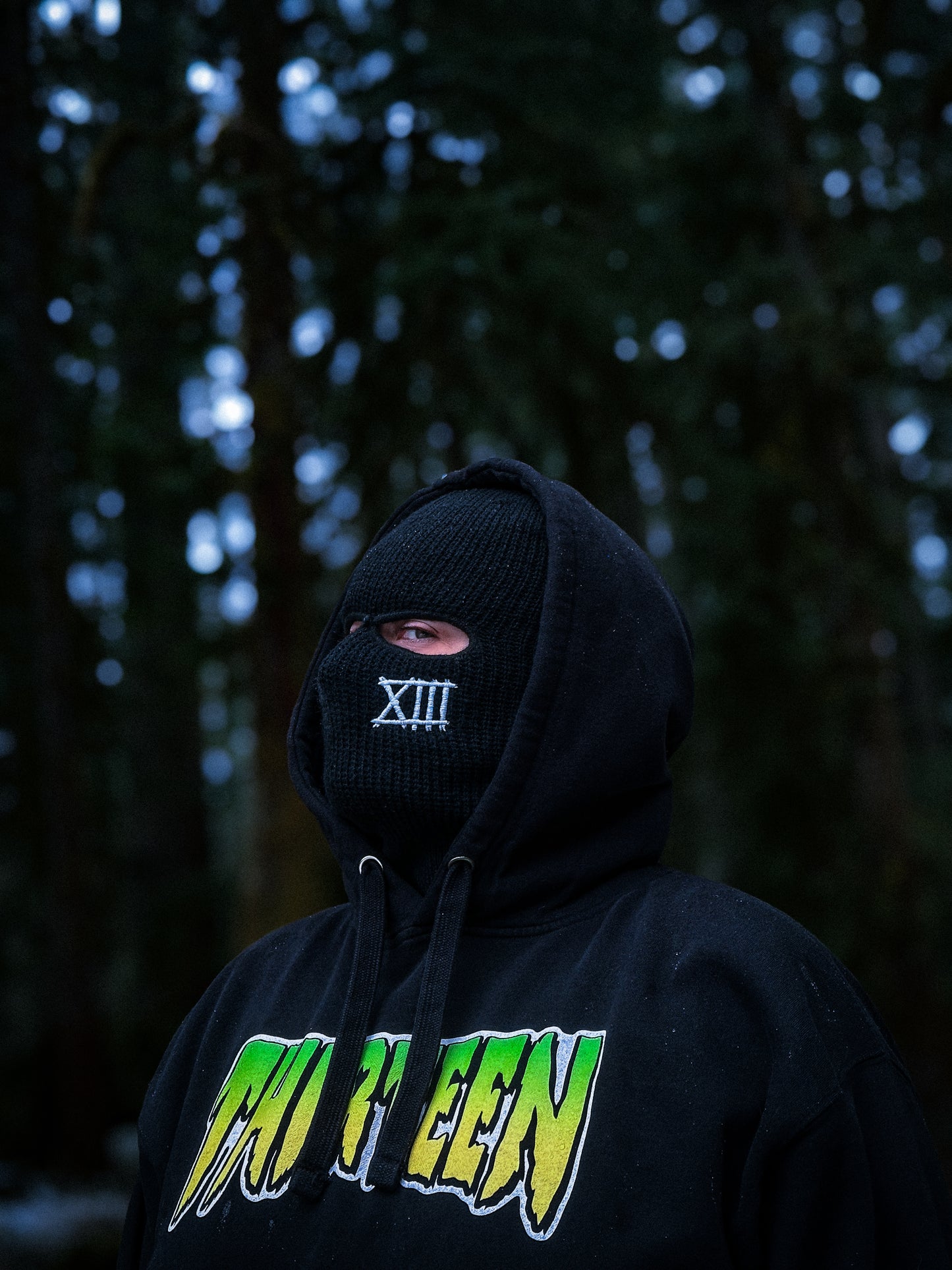 Thirteen Skate Heavyweight Hoodie