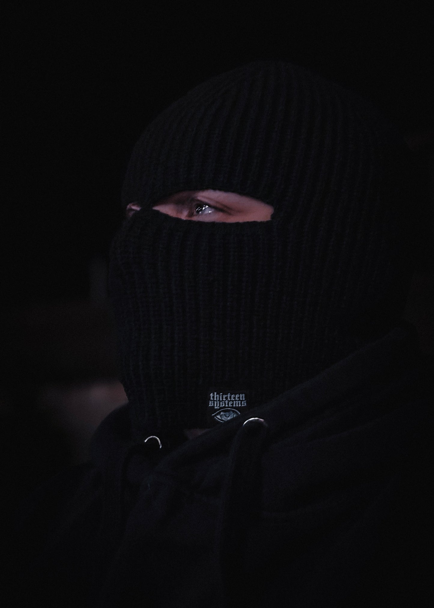 Larcenist Beanie Mask