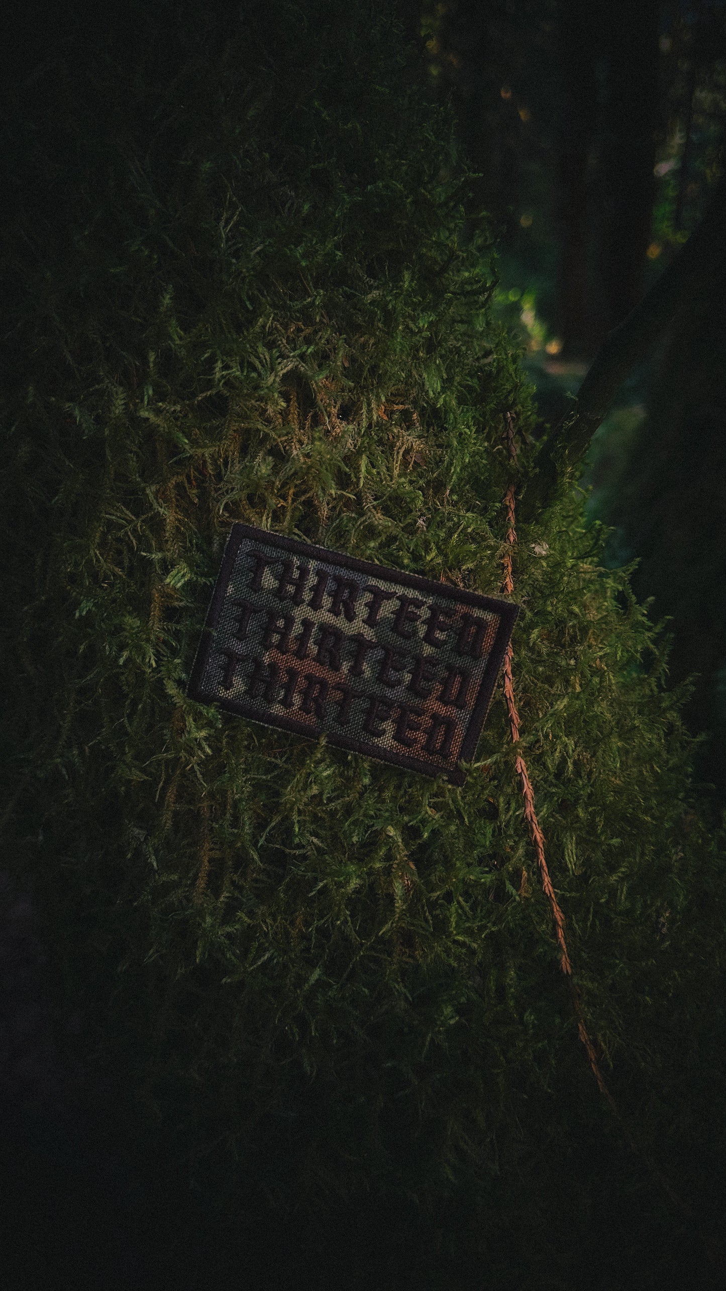 Embroidered Flecktarn Triple Thirteen 3x2 Patch