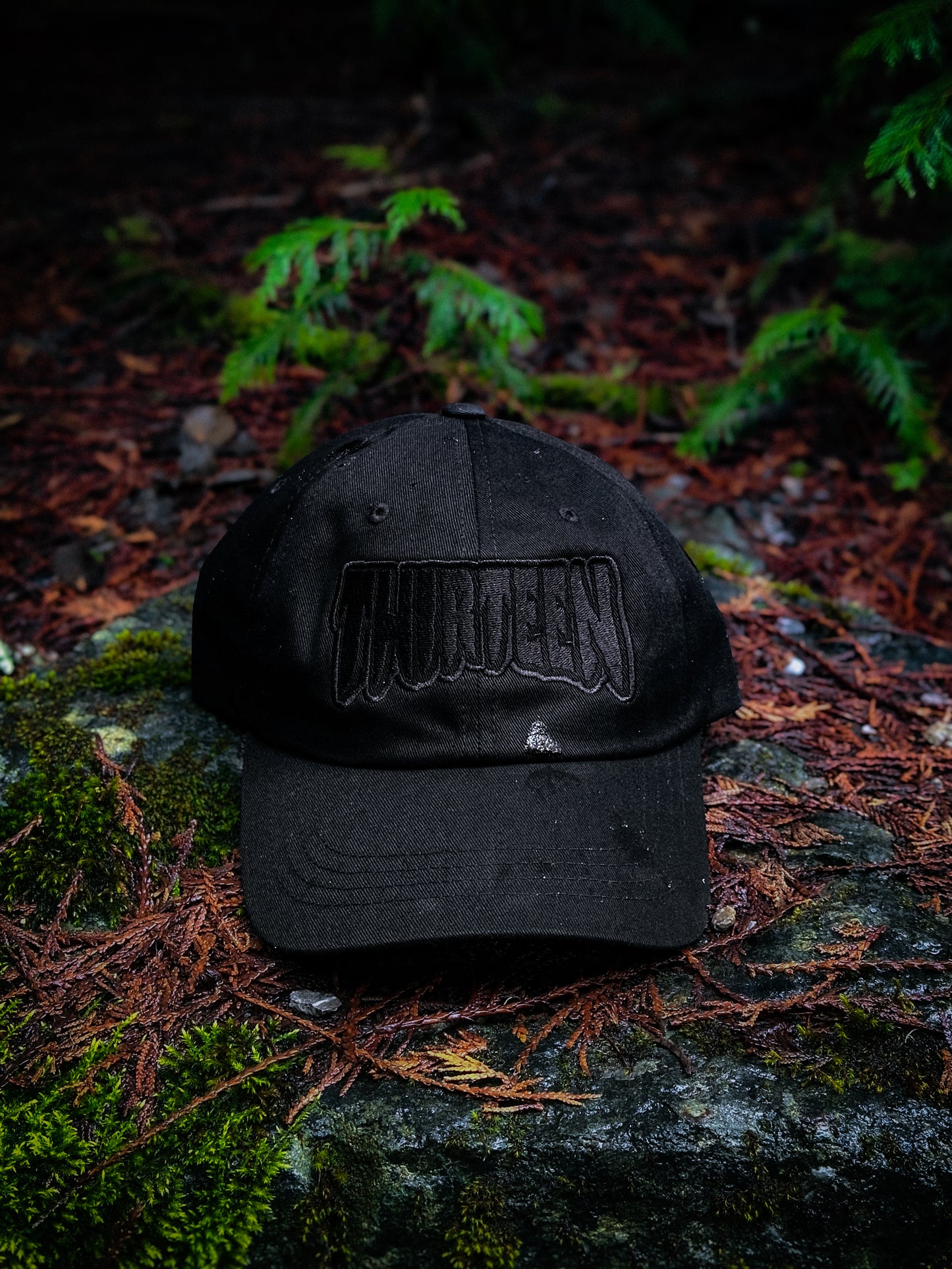 Thirteen Skate Subdued Dad hat