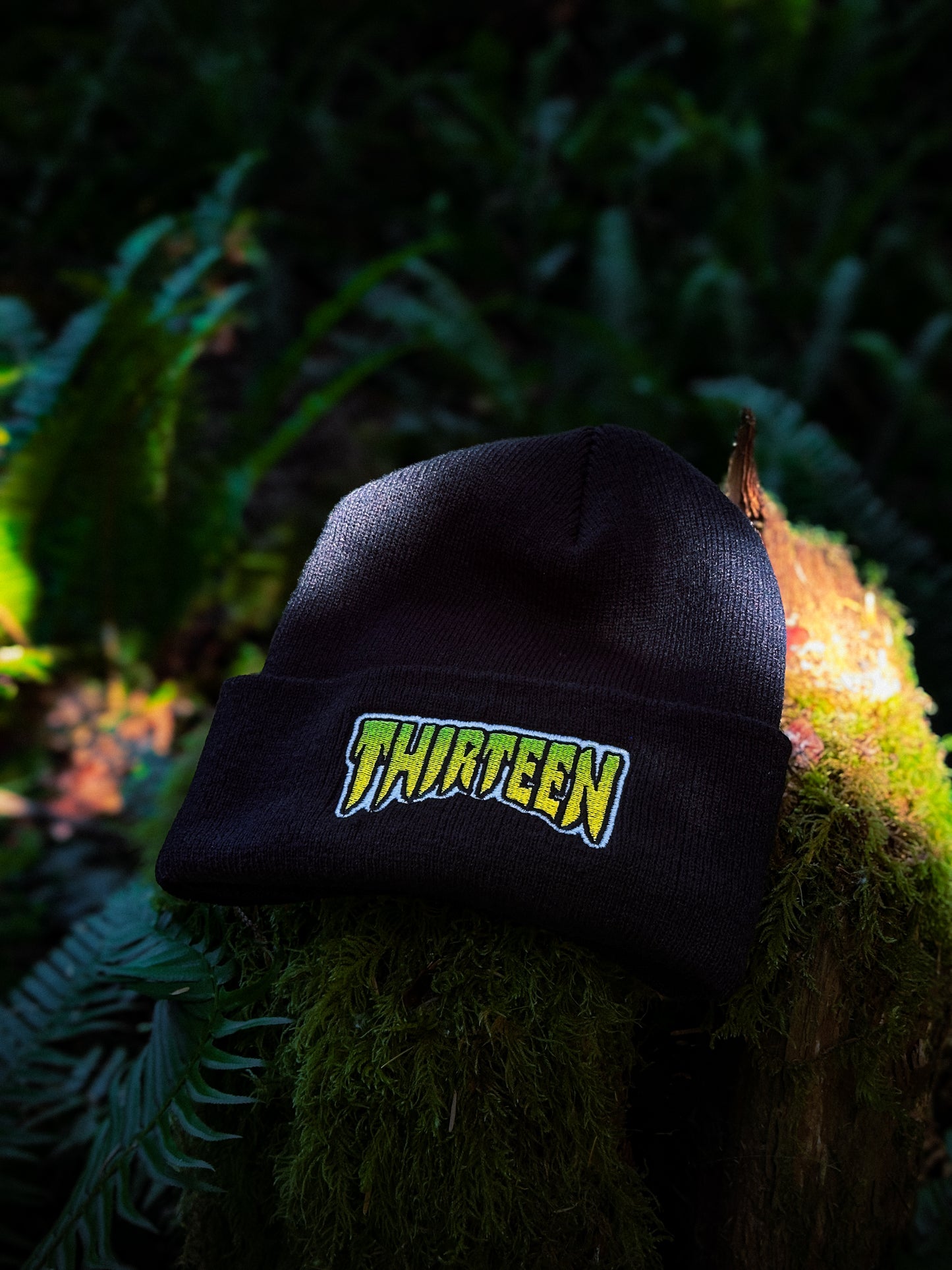 Thirteen Skate Beanie