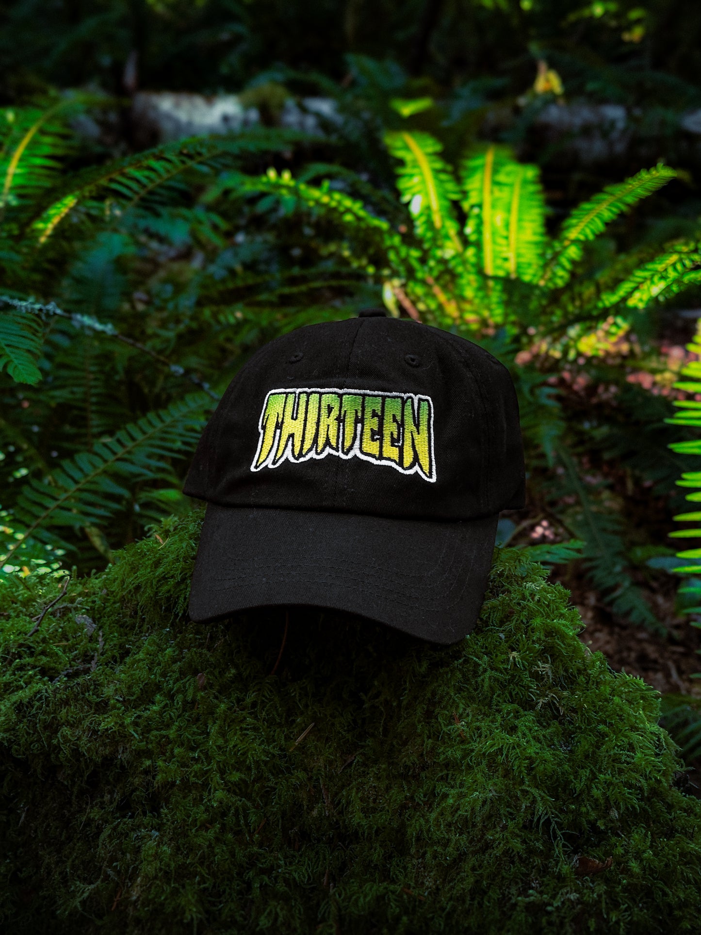 Thirteen Skate Dad Hat