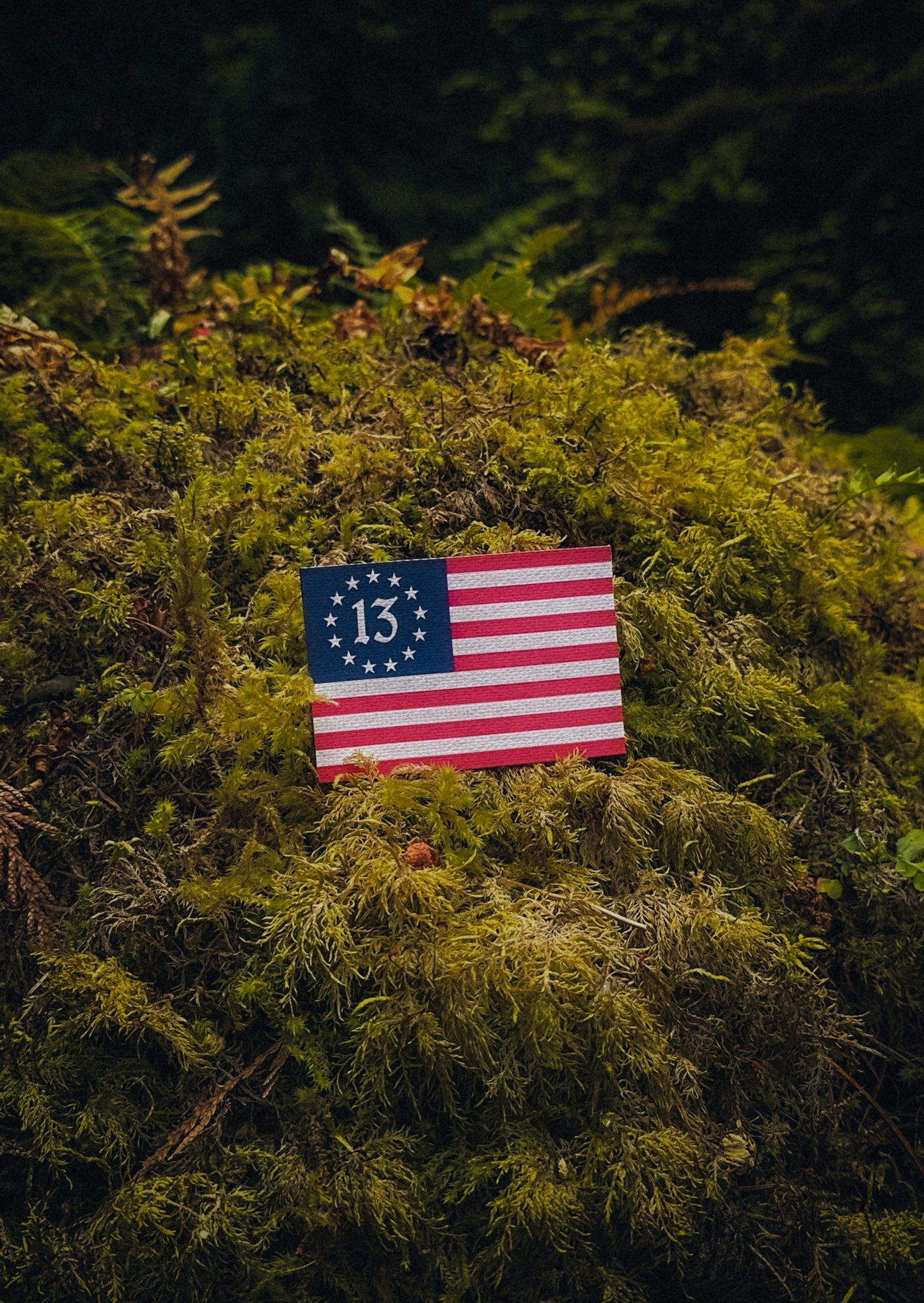 Thirteen Colonies Flag Patches