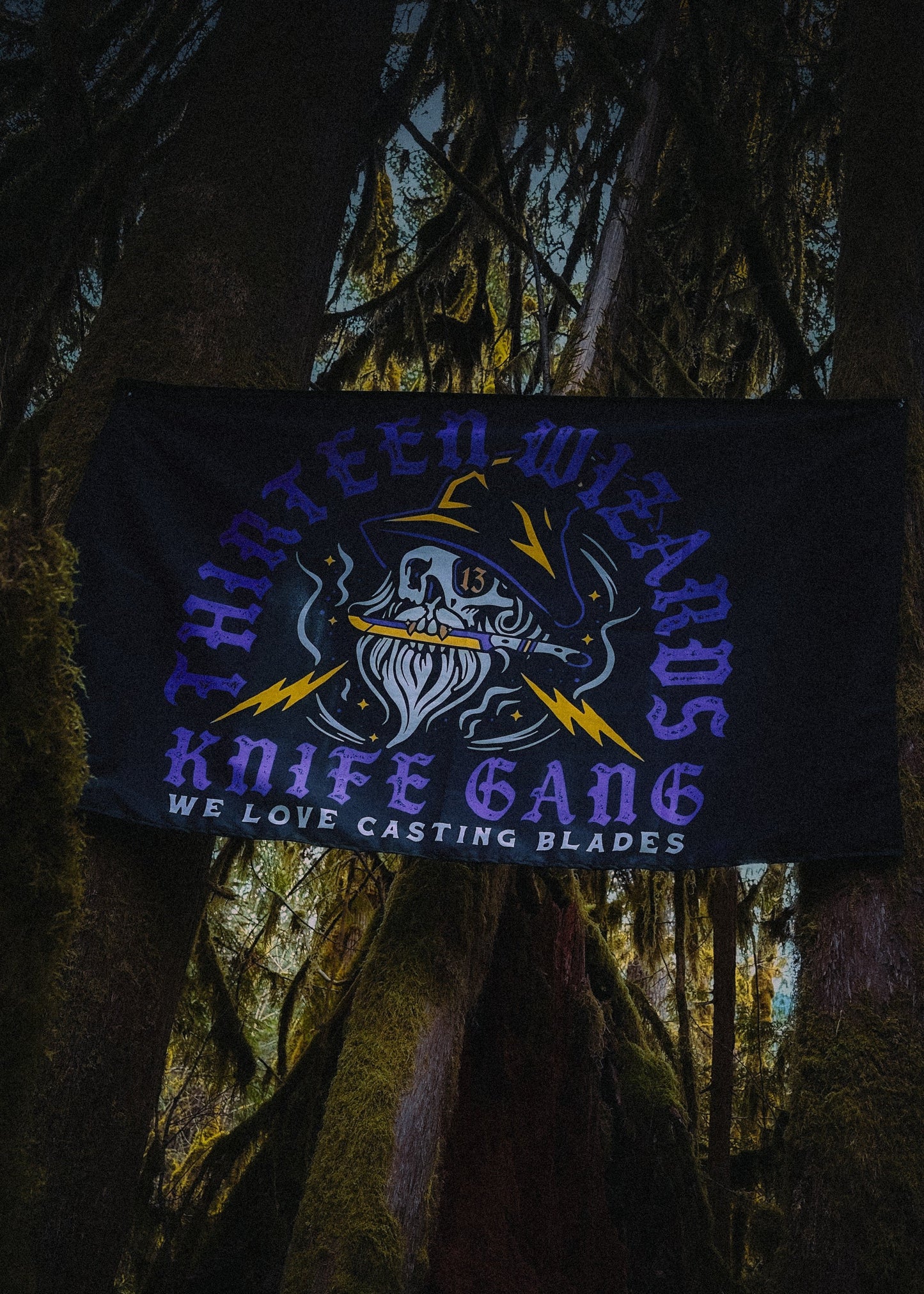 Thirteen Wizards Flag