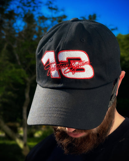 Raise Hell Dad Hat