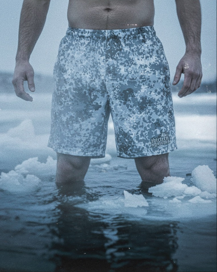 Alpine Flecktarn Shorts