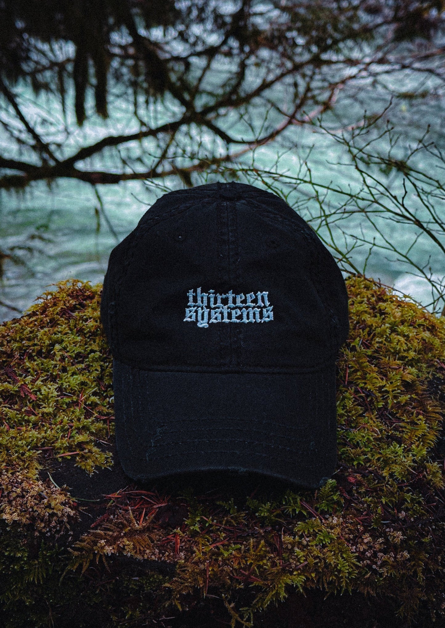 Thirteen Systems Distressed Dad Hat