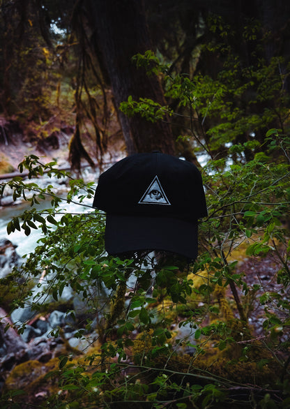 13 Illuminati Dad Hat