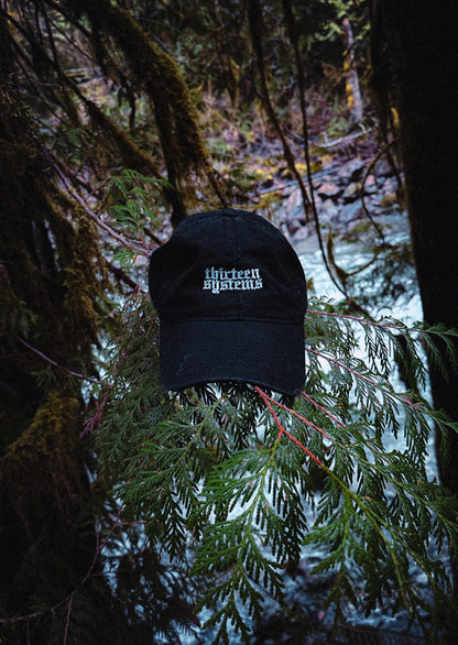 Thirteen Systems Distressed Dad Hat