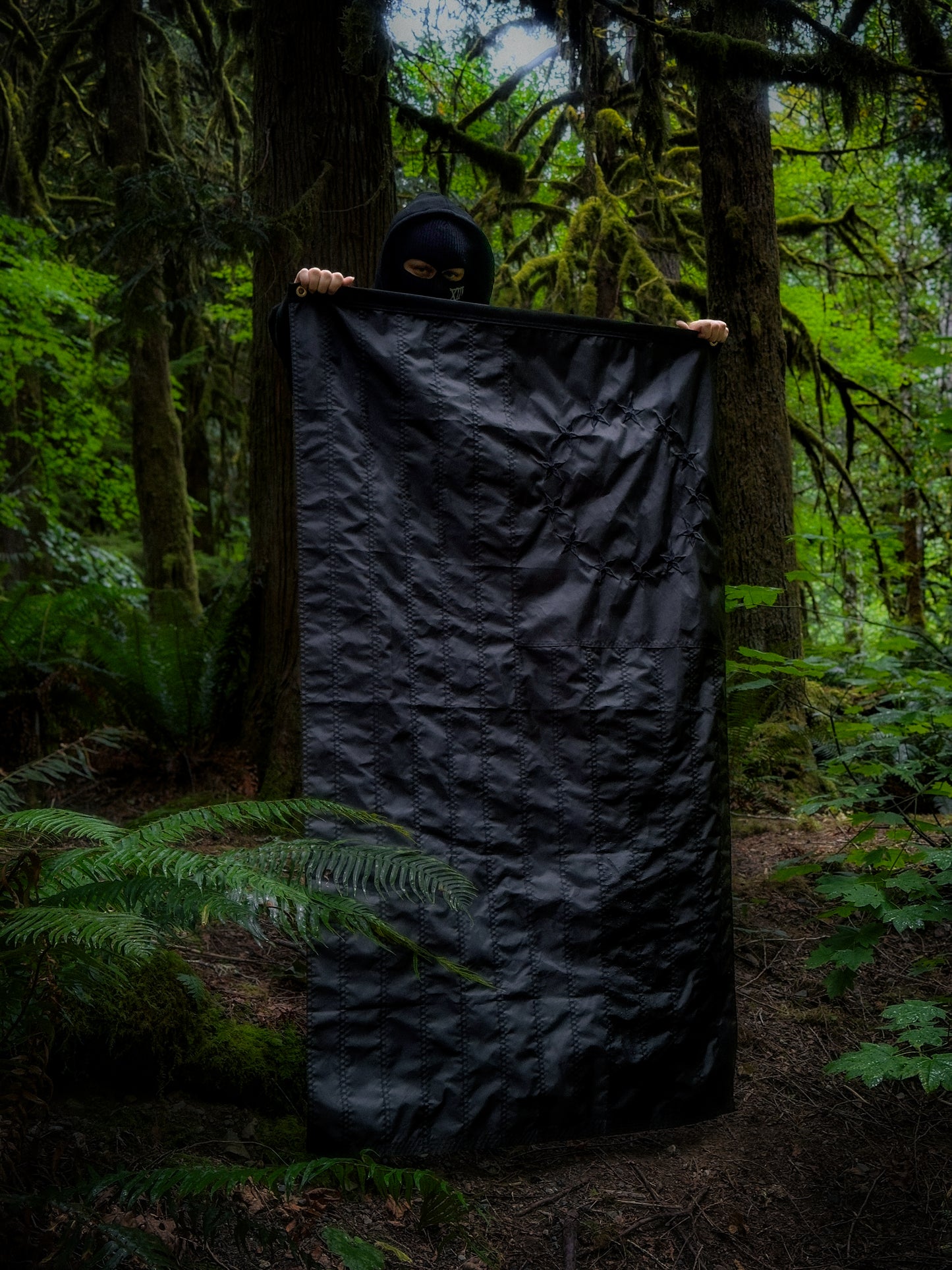 Blacked Out Betsy Ross American Flag