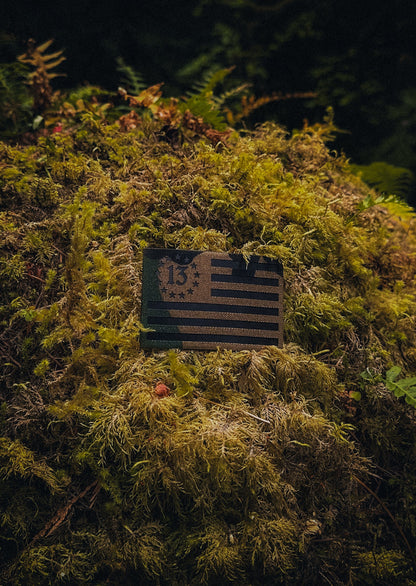 Thirteen Colonies Flag Patches