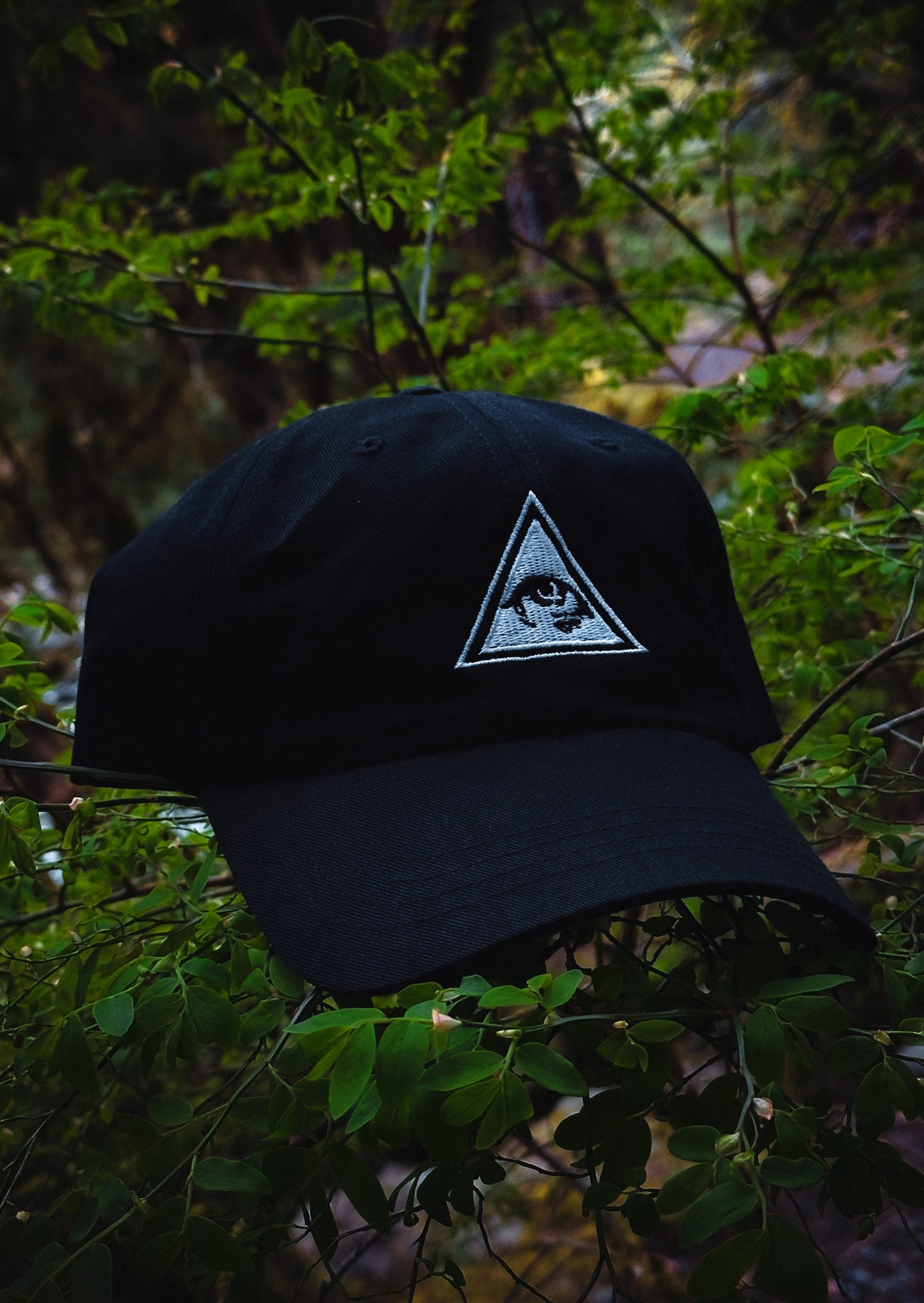 13 Illuminati Dad Hat