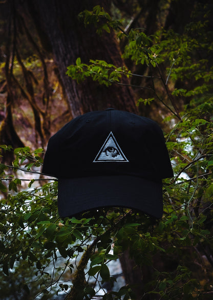 13 Illuminati Dad Hat