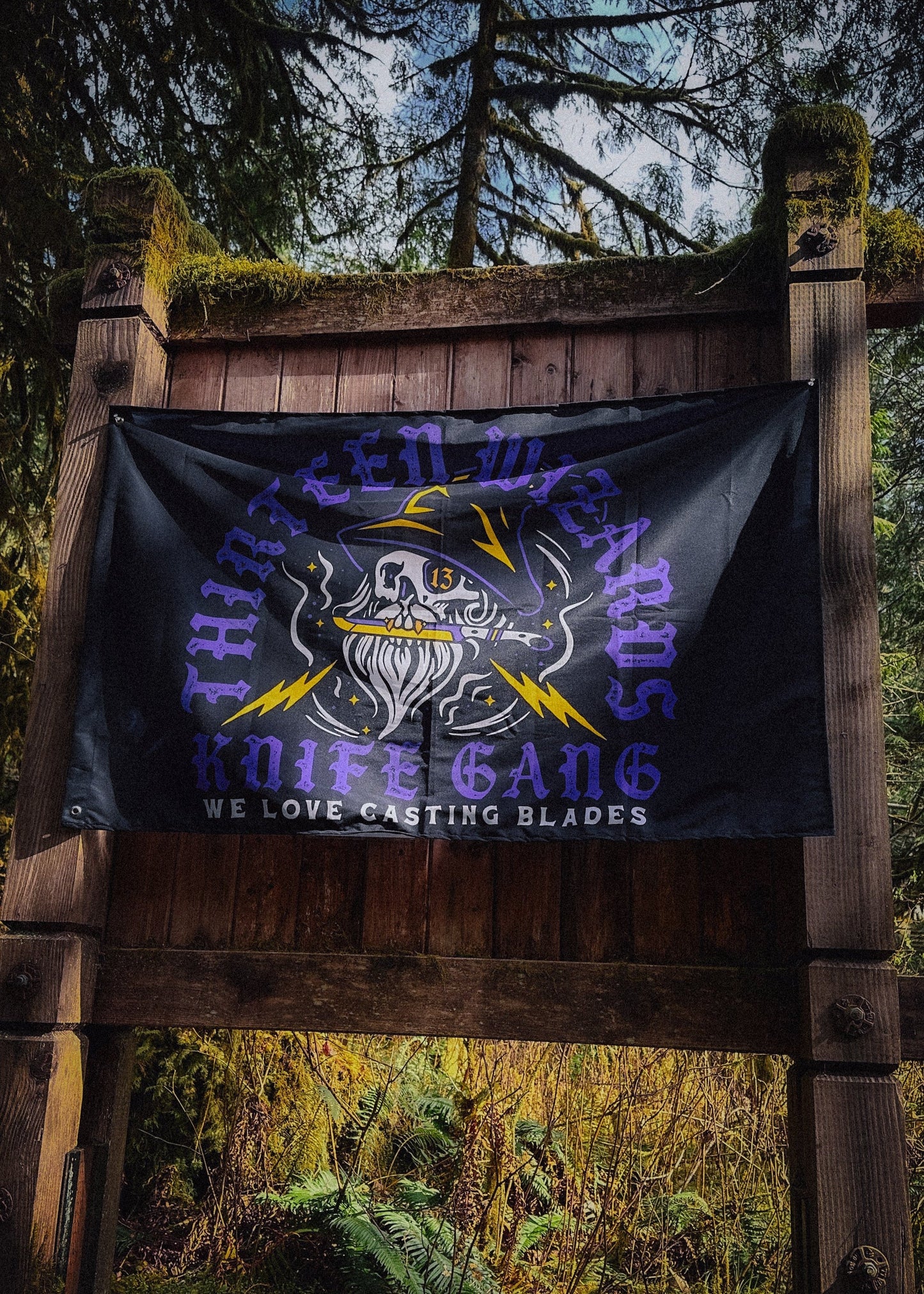 Thirteen Wizards Flag