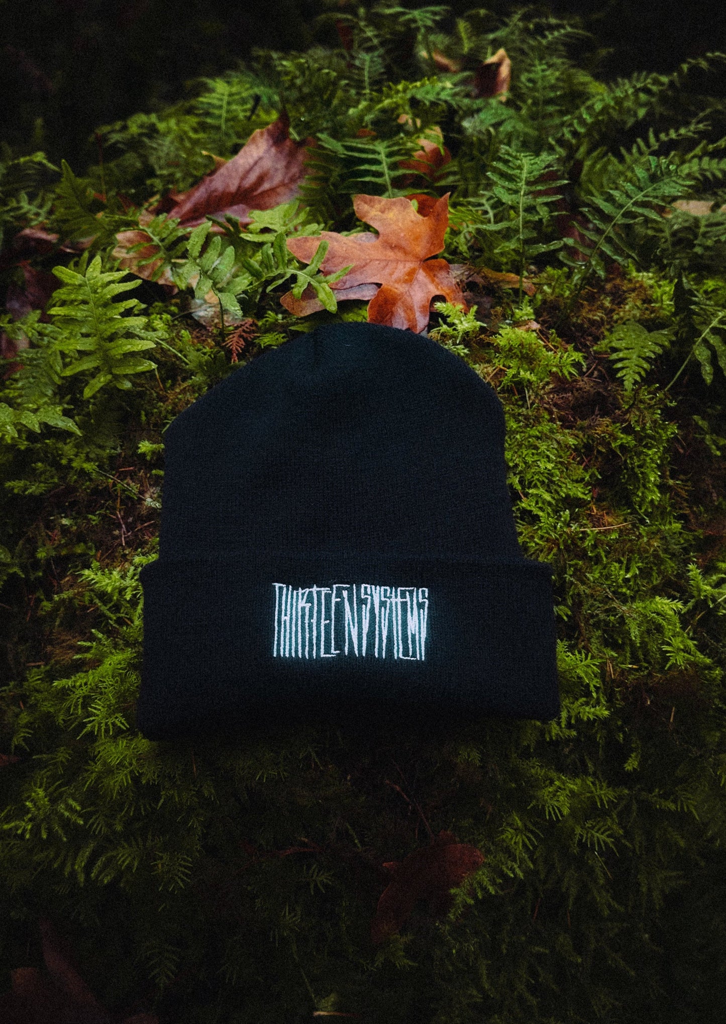 Thirteen Dark Logo Beanie - Black