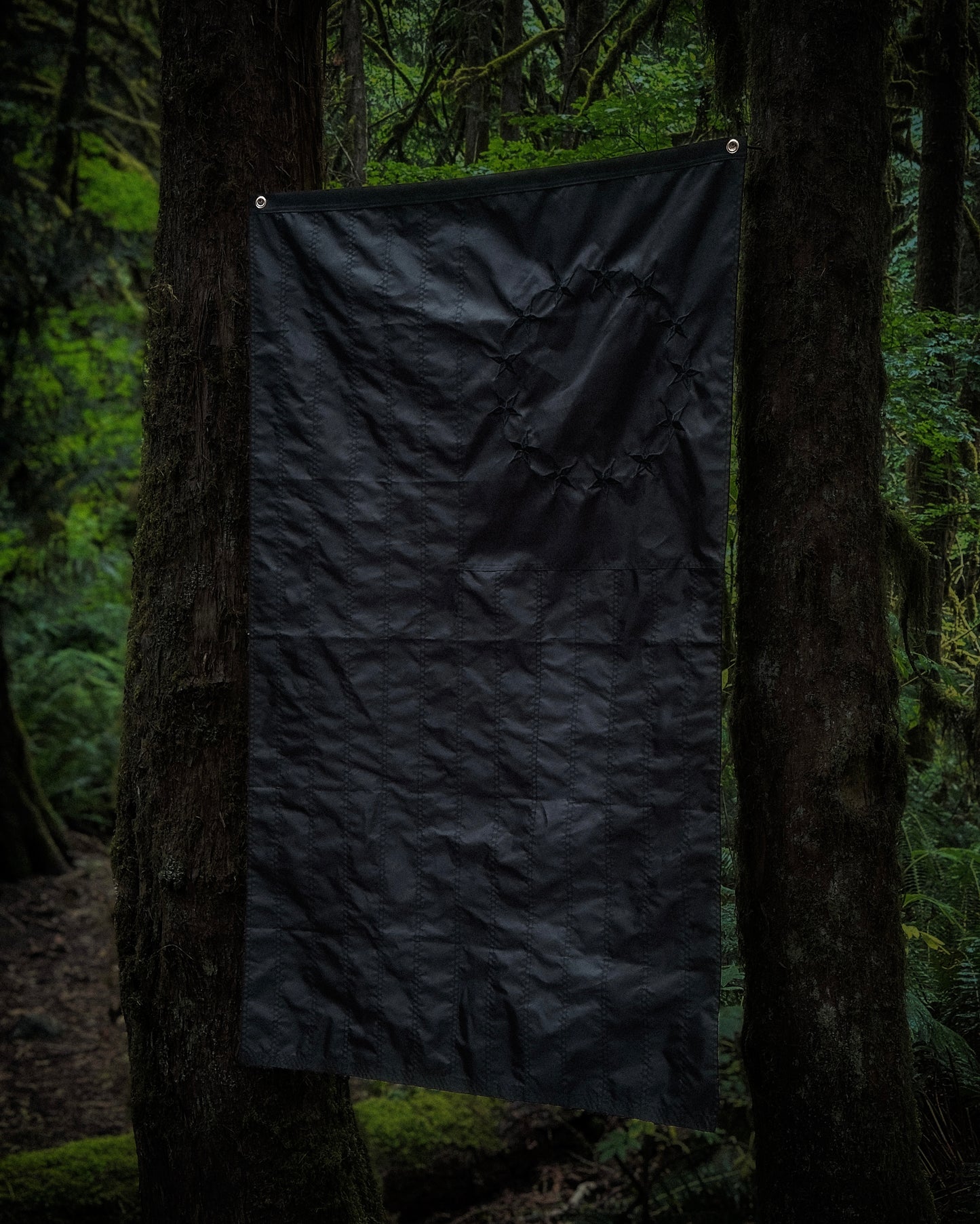 Blacked Out Betsy Ross American Flag