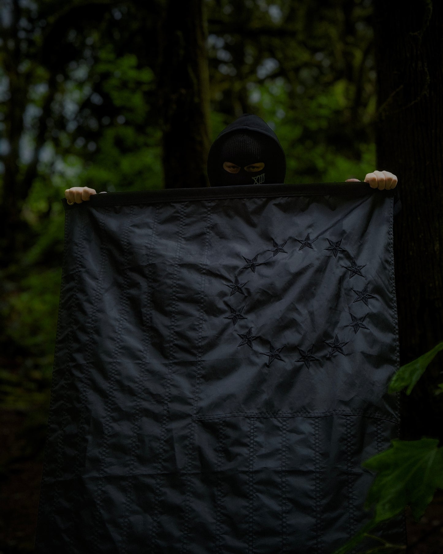 Blacked Out Betsy Ross American Flag