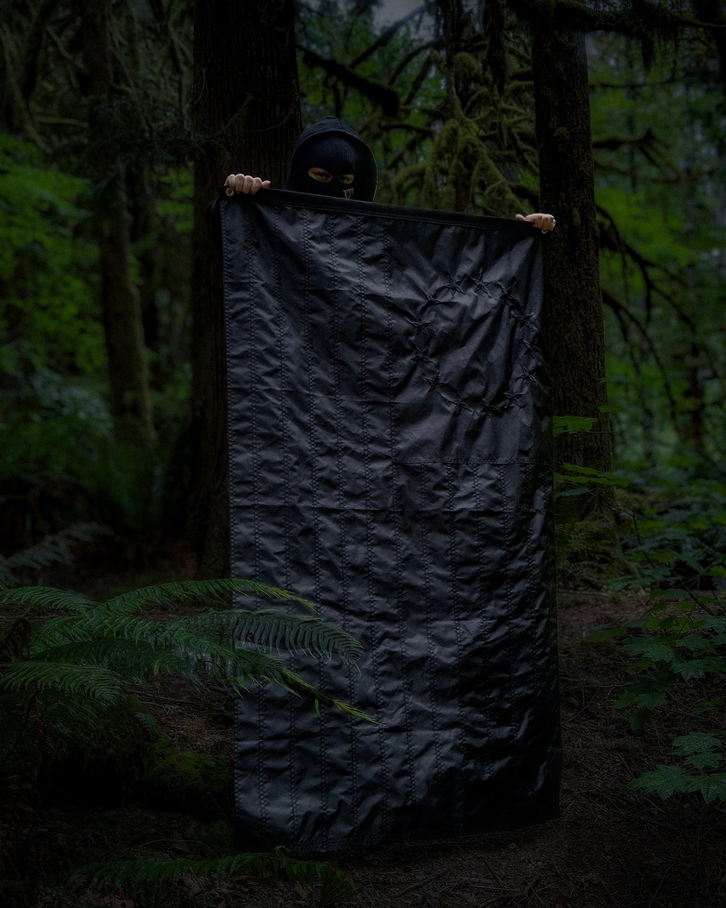 Blacked Out Betsy Ross American Flag