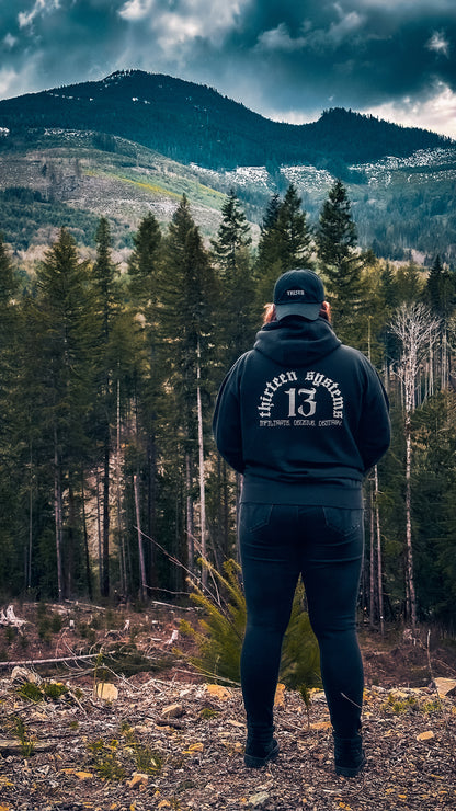 Infiltrate. Deceive. Destroy. Hoodie