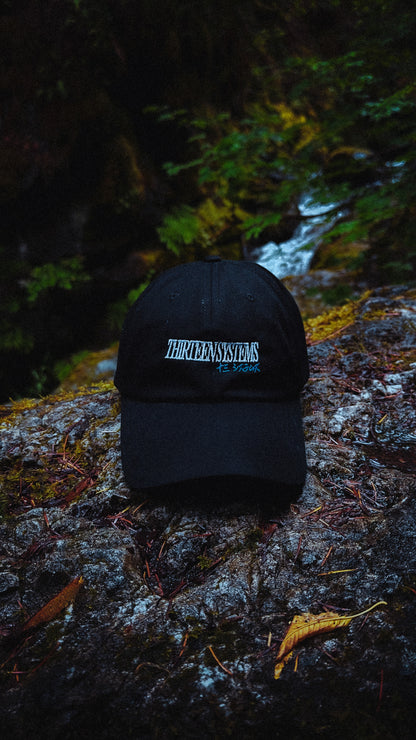 Nightwatcher Dad Hat