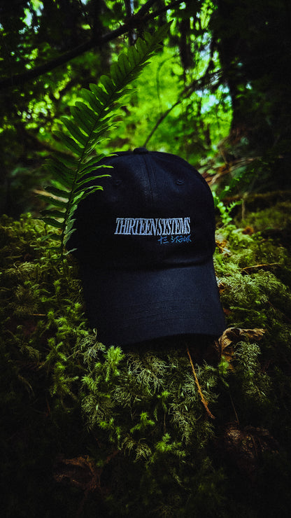 Nightwatcher Dad Hat